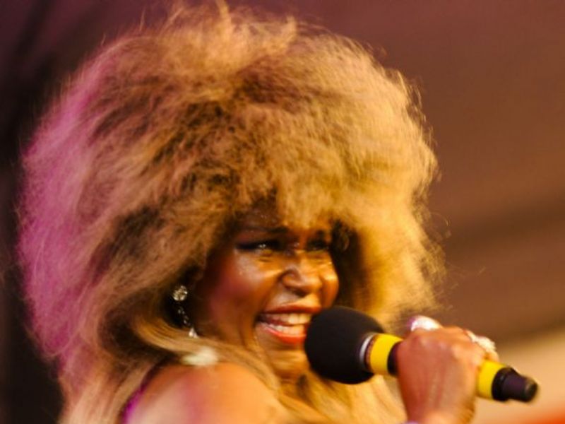 a tribute to tina turner